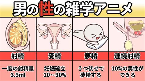 夢精 期間|夢精の原因と夢精をするための4つの方法